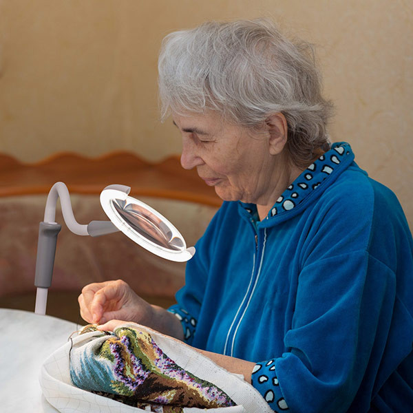 Magnificent Pro Daylight 25090 Low Vision Magnifying Lamp for the ...